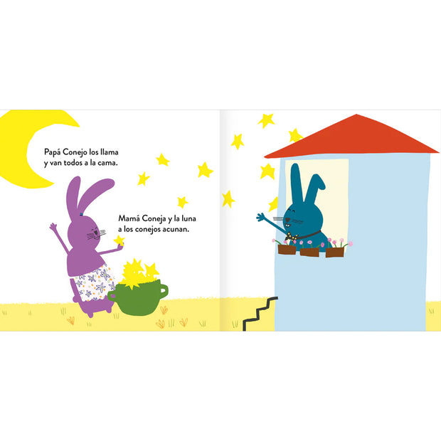 LIBRO A DORMIR CONEJITOS