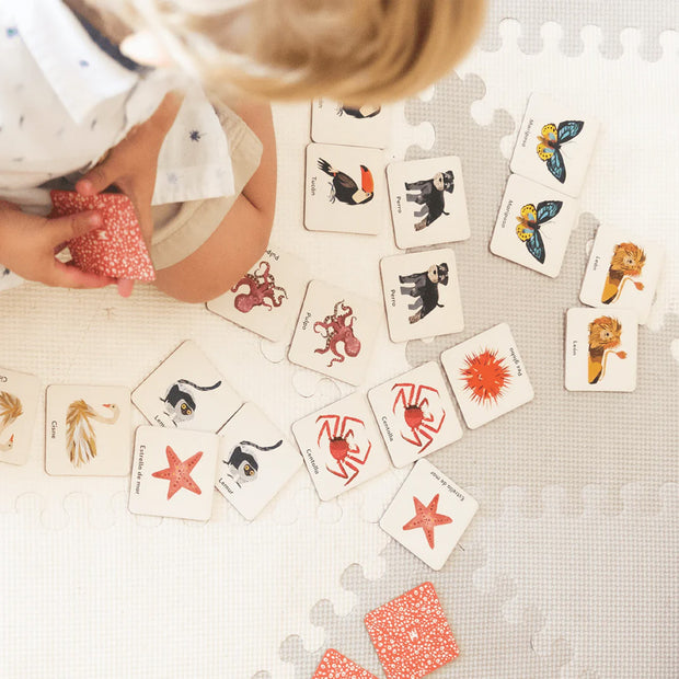 JUEGO MEMORICE - MEMO FAUNA