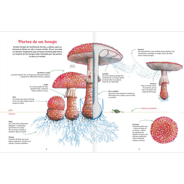 LIBRO REINO FUNGI