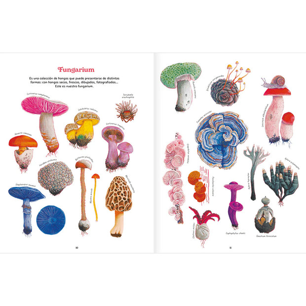 LIBRO REINO FUNGI