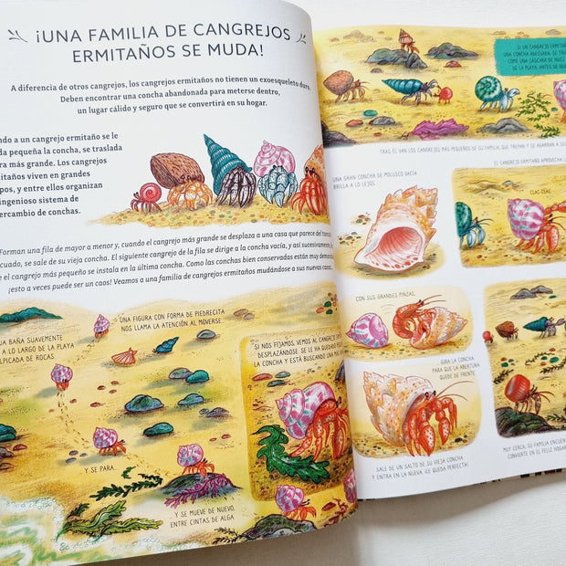 Libro Con Calma, Aquí y Ahora