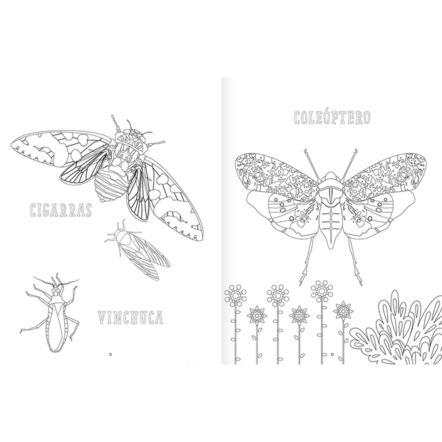 LIBRO DE PINTAR Insectopinta