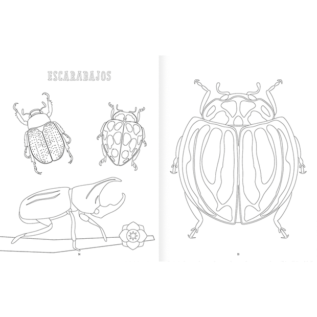 LIBRO DE PINTAR Insectopinta