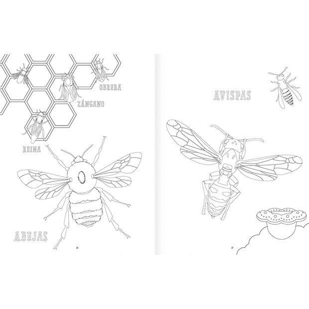 LIBRO DE PINTAR Insectopinta