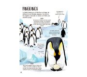LIBRO Mi primer libro de la naturaleza