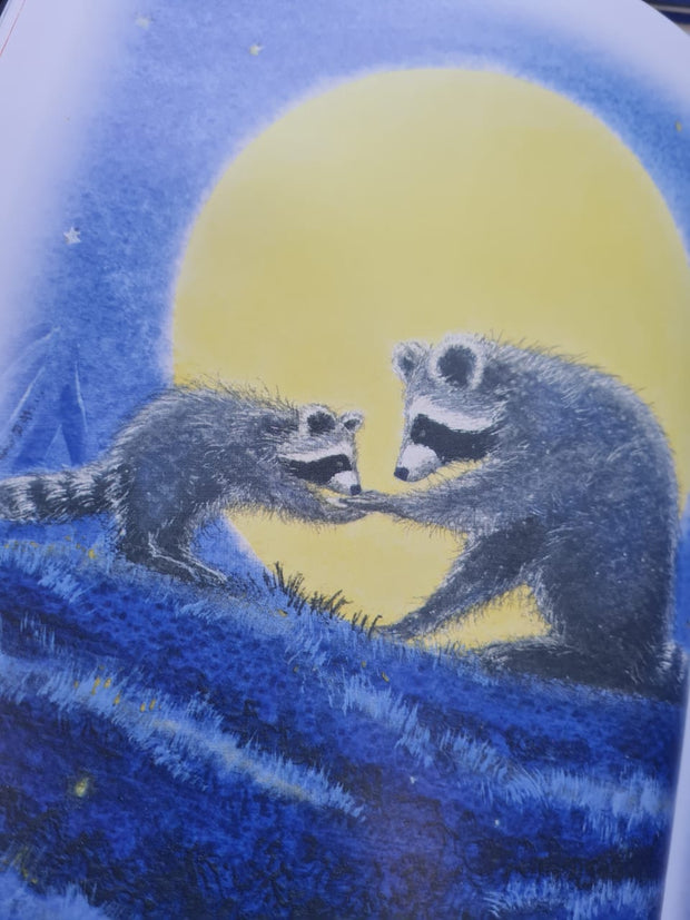 LIBRO Un beso en mi mano