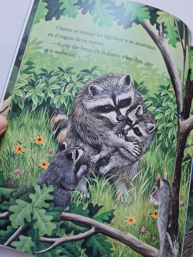 LIBRO UN BOLSILLO LLENO DE BESOS