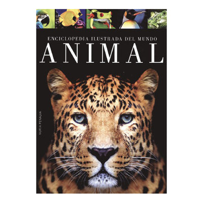 LIBRO Enciclopedia Ilustrada del mundo animal